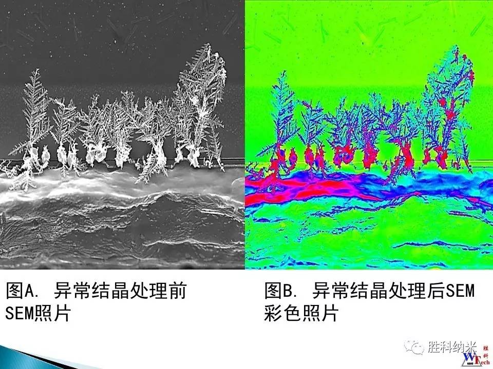 4166全球赢家的信心之选(中国游)官方网站